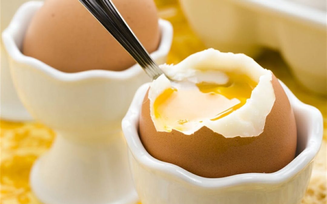 What You Need To Know About Eggs
